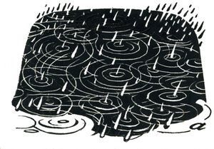 Design de flaque de pluie - George Adamson