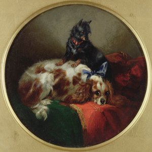 Épagneul Blenheim et Terrier, peinture d