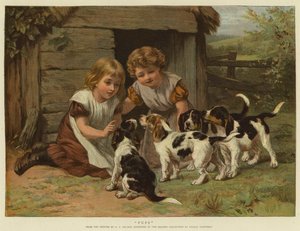 Chiots
