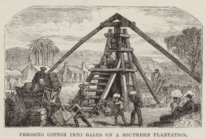 Pressage du coton en balles sur une plantation du Sud