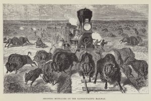 Chasse aux buffles sur le chemin de fer Kansas-Pacific