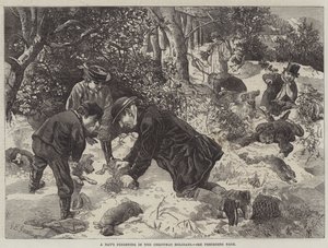 Une journée de furetage pendant les vacances de Noël