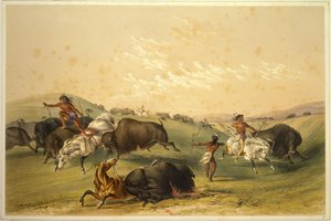 Chasse au buffle : Un groupe nombreux - George Catlin