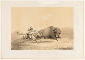 Chasse aux bisons, Chase--no. 5