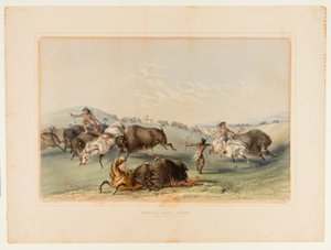 Buffalo Hunt, Chase No. 7 - George Catlin