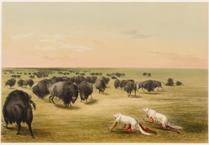  - George Catlin