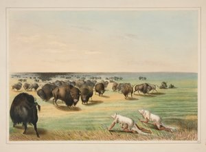  - George Catlin