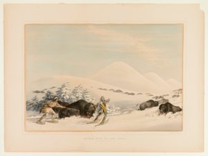 Chasse au bison en raquettes--no. 15