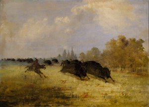 Caddo Indians Chasing Buffalo, Cross Timbers, Texas - George Catlin