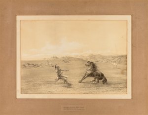 Attraper le cheval sauvage--no. 4