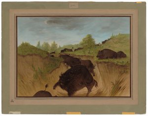Ours grizzlis attaquant des buffles - George Catlin
