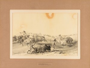 Indiens chassant le buffle--no. 7 - George Catlin