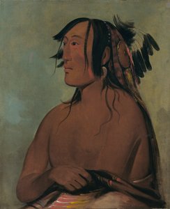 Pa-ris-ka-roó-pa, deux corbeaux, le plus jeune