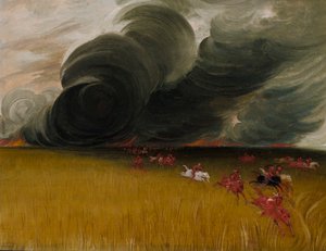 Brûlage des prairies