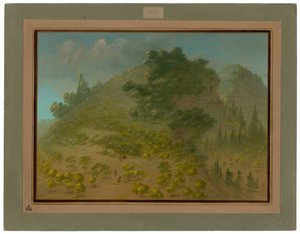 Montagne de rhododendrons - George Catlin