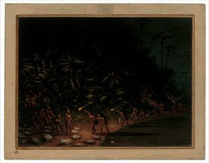 Chasse à la tortue