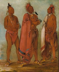 Wa-másh-ee-sheek, Celui qui enlève ; Wa-chésh-uk, La guerre ; Mink-chésk, Trois jeunes hommes distingués