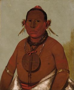 Wa-sáw-me-saw, le tonnerre rugissant, le plus jeune fils de Black Hawk