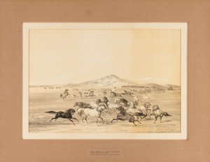 Les chevaux sauvages au jeu--no. 3