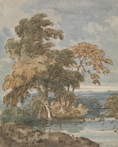 Arbres près d