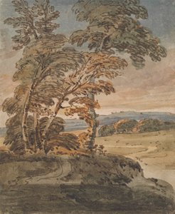 Arbres sur un chemin de colline - George Chinnery