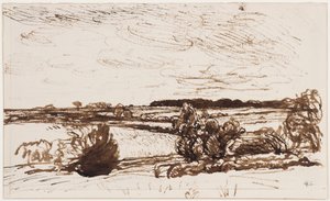 Paysage venteux