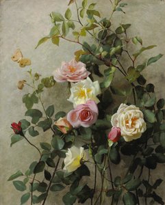 Roses sur un Mur, 1877
