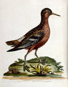 Illustration à l