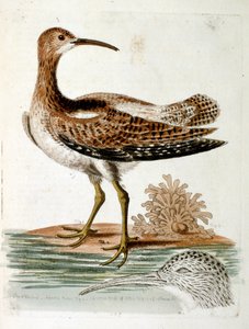 Illustration à l