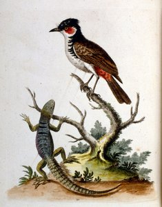 Illustration à l