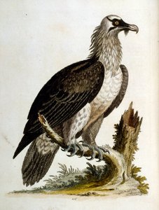 Illustration à l