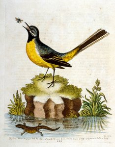 Illustration à l