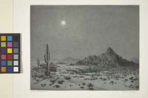 Nuit en Arizona