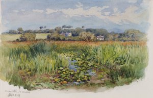 Criccieth, N. Pays de Galles - George Elbert Burr