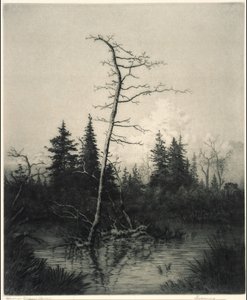 Soirée - George Elbert Burr
