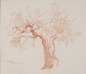 Fiesole - George Elbert Burr