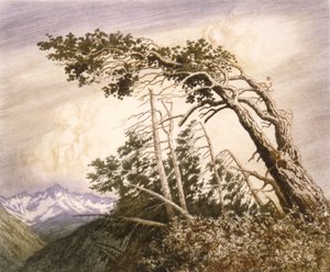 La maison des vents [No. 2]