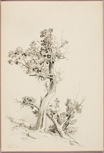 Manitou - George Elbert Burr