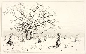 Motif de la gravure - George Elbert Burr