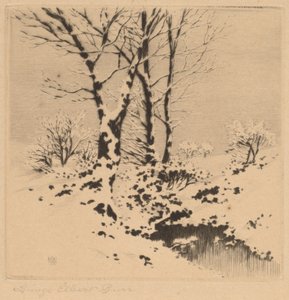 Neige