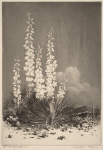  - George Elbert Burr