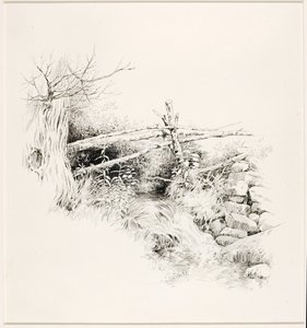 Sans titre (Woodland Stream) - George Elbert Burr