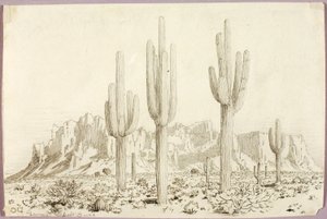 Sans titre - George Elbert Burr