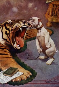 Tigre, Tigre - chien aboyant sur un tapis de tigre