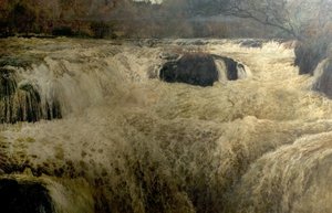 Saut du saumon, chutes de Cenarth, Cardiganshire, Pays de Galles, 1878