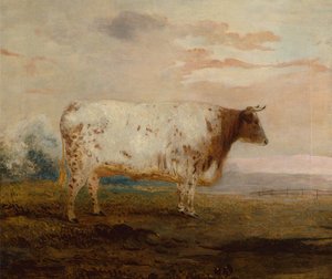 Juno, une vache à cornes courtes rouge dans un paysage étendu