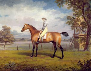 Le déguisement du duc de Hamilton avec jockey