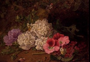 AB/52 Nature morte avec papillons