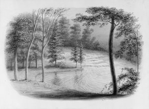Un ruisseau de l