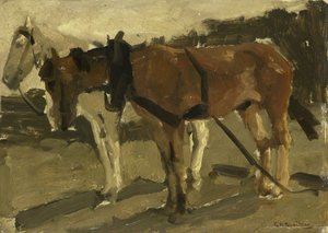 Un cheval brun et un cheval blanc à Scheveningen